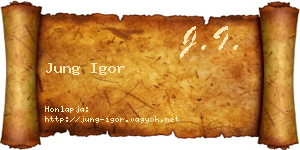 Jung Igor névjegykártya